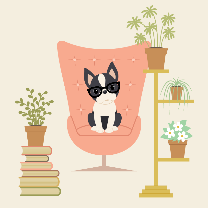 How to Create a Boston Terrier Illustration in Adobe Illustrator