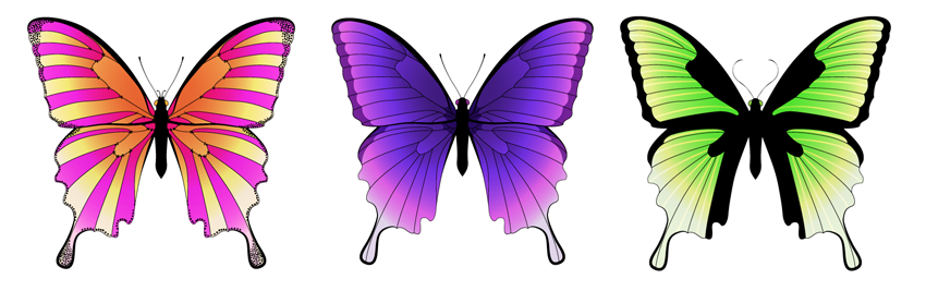 How to Create a Mirrored Butterfly in Adobe Illustrator